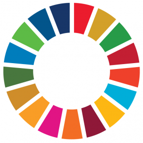 Símbolo de los objetivos de desarrollo sostenible.